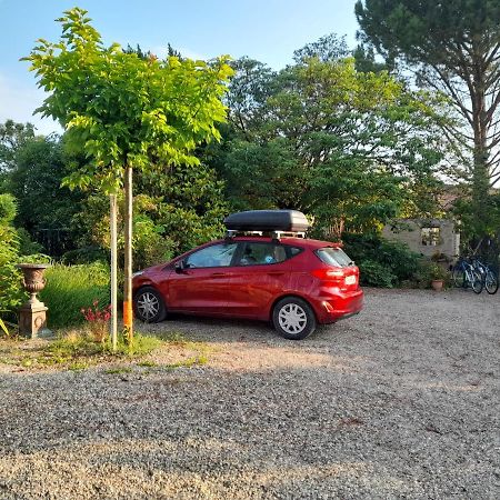 Le Jardin Otel Montélimar Dış mekan fotoğraf